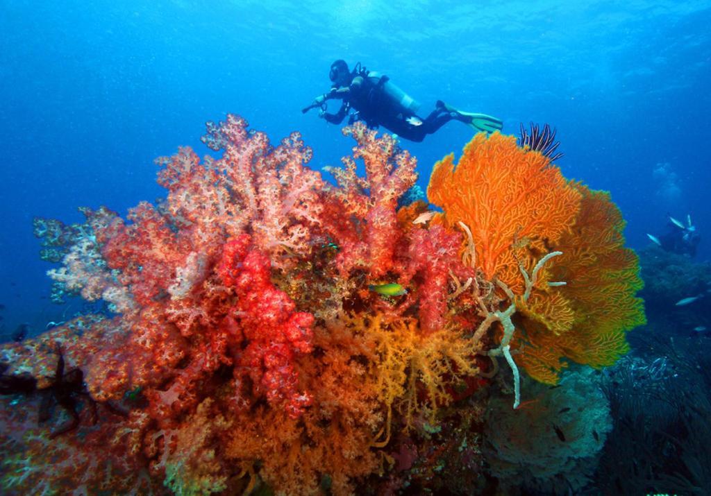 Bella Villa Coron Luaran gambar